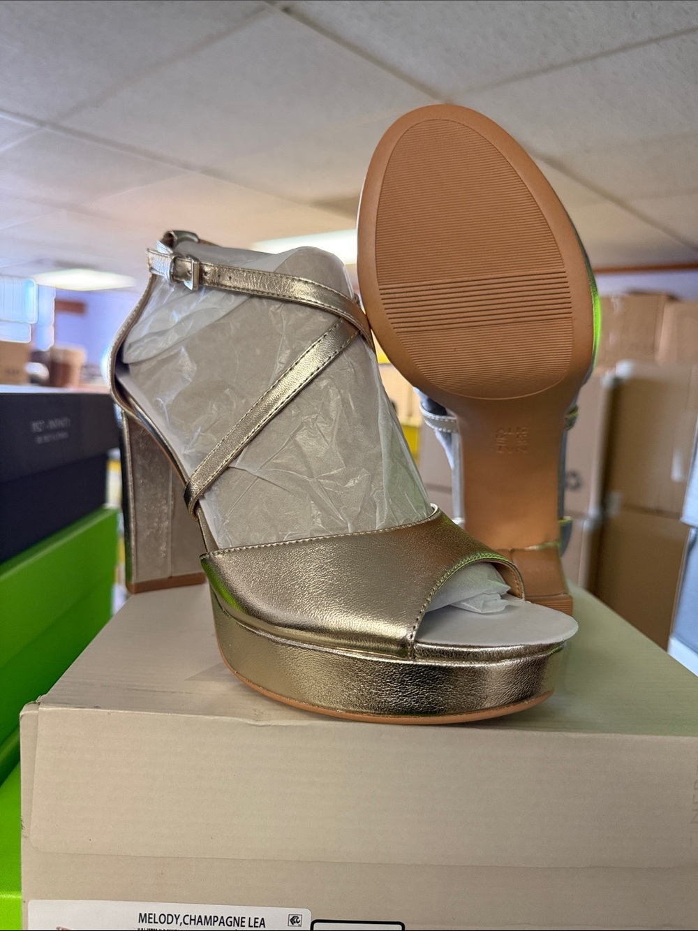 Naturalizer Melody Fashionista Champagne Metallic Platform Sandals (Wide)